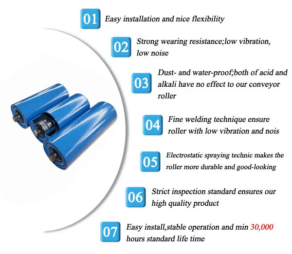 Hdpe idler features